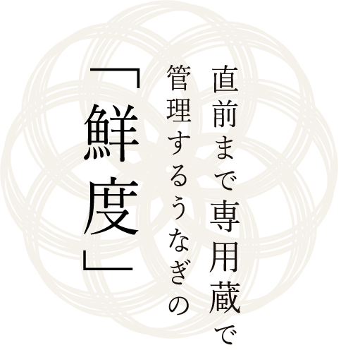 直前まで専用蔵で管理するうなぎの“鮮度”