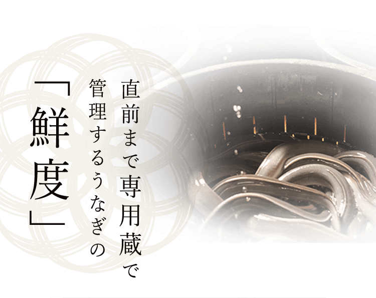 直前まで専用蔵で管理するうなぎの“鮮度”